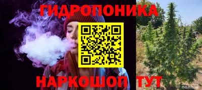 прущие крисы Кандалакша