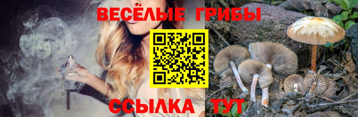 Галлюциногенные грибы Psilocybe  Галлюциногенные грибы MAGIC MUSHROOMS  Вход с VPN  Кулебаки 